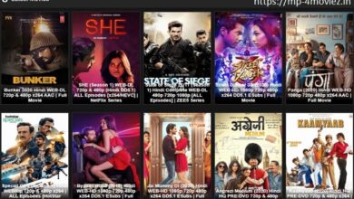 Downloading Hindi Movies on HDHub4U Mp4moviez