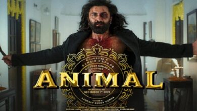 Animal Movie Download on MP4Moviez