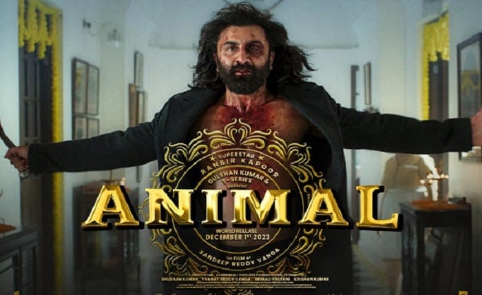 Animal Movie Download on MP4Moviez